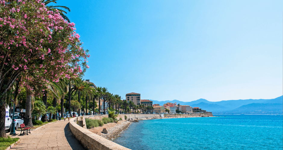 Site internet en Corse : La stratégie ultime pour dominer votre marché local et attirer plus de clients